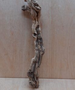 Sandblasted Grapevine - Medium 15