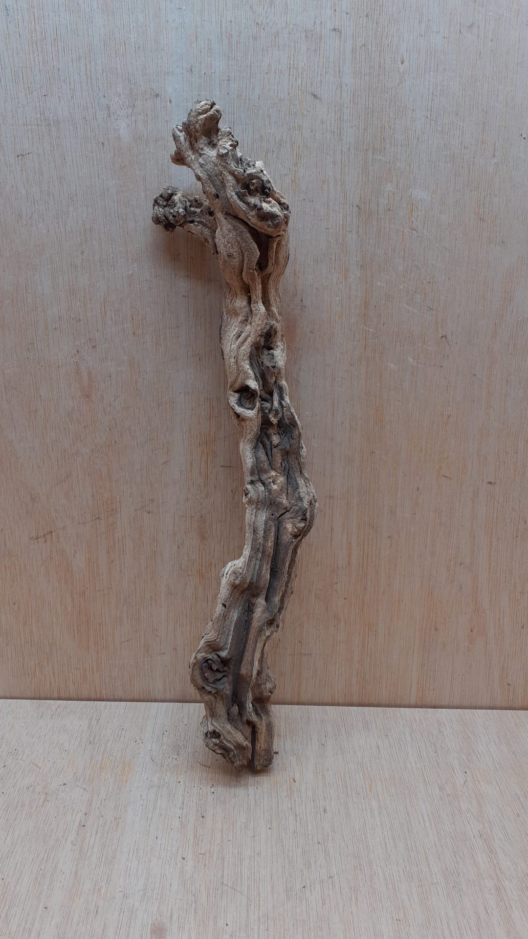 Sandblasted Grapevine - Medium 15