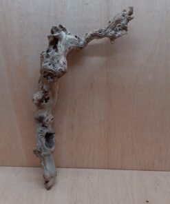 Sandblasted Grapevine - Medium 17