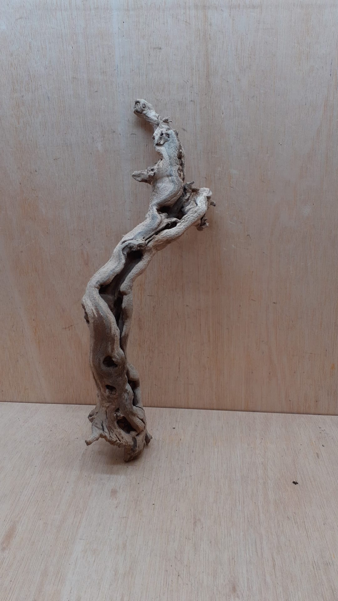 Sandblasted Grapevine - Medium 18