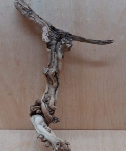 Sandblasted Grapevine - Medium 19