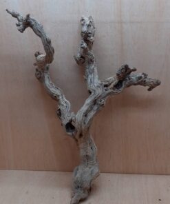 Sandblasted Grapevine - Large 20