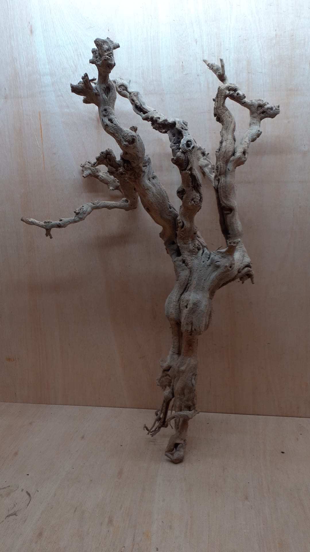 Sandblasted Grapevine - XL 6