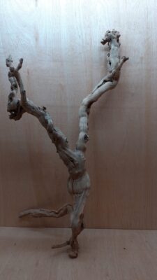 Sandblasted Grapevine - XL 9