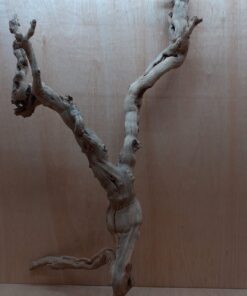 Sandblasted Grapevine - XL 9