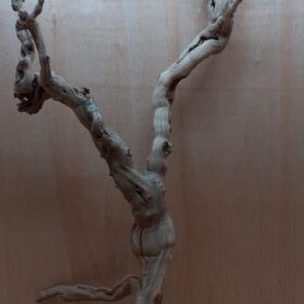 Sandblasted Grapevine - XL 9