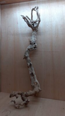 Sandblasted Grapevine - XL 11