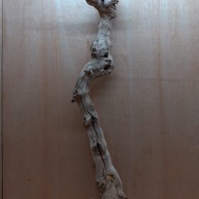 Sandblasted Grapevine - XL 11