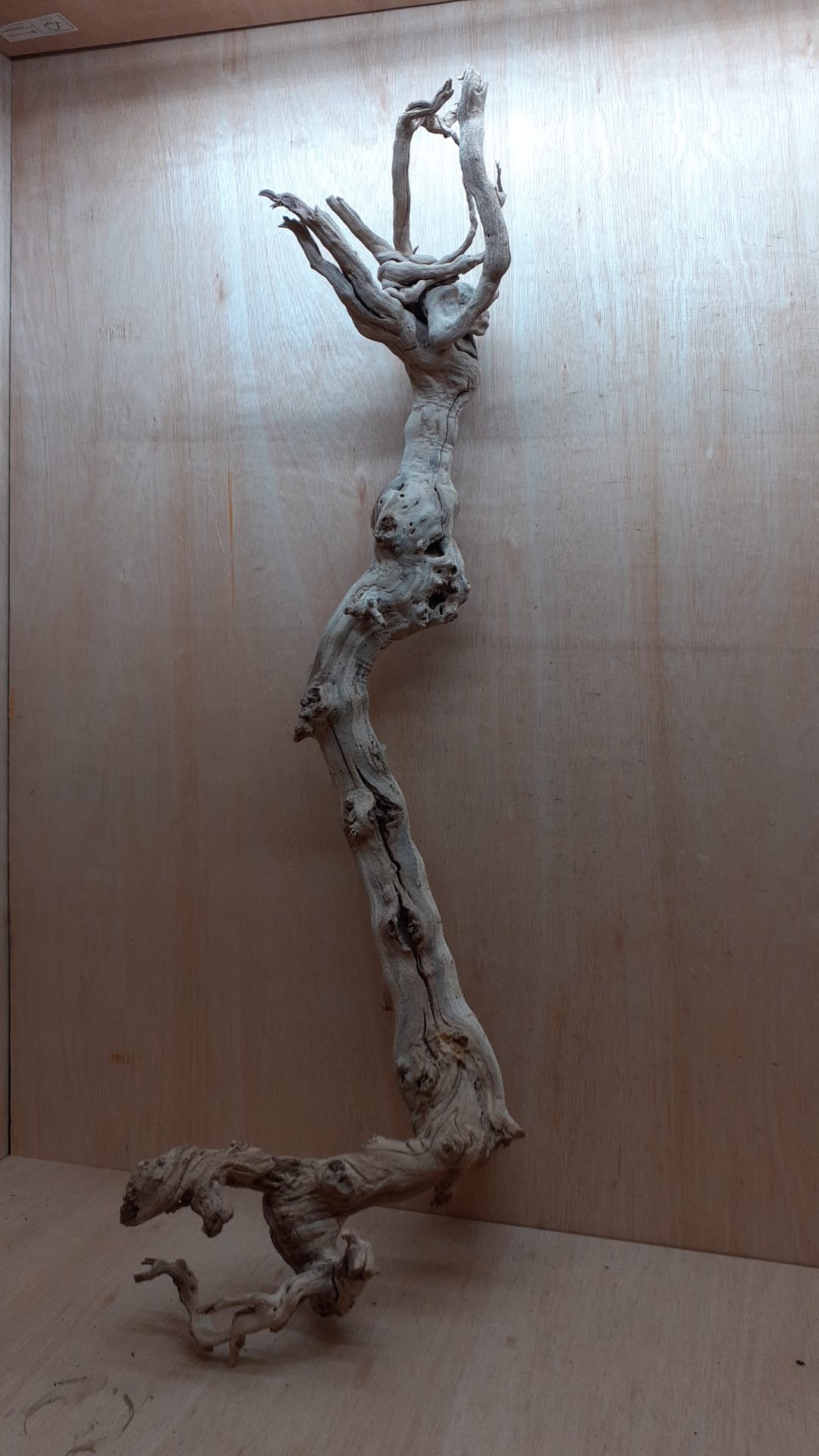 Sandblasted Grapevine - XL 11