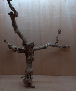 Sandblasted Grapevine - XL 12