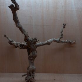 Sandblasted Grapevine - XL 12