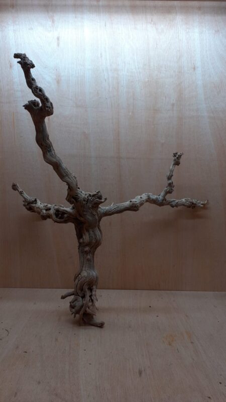 Sandblasted Grapevine - XL 12