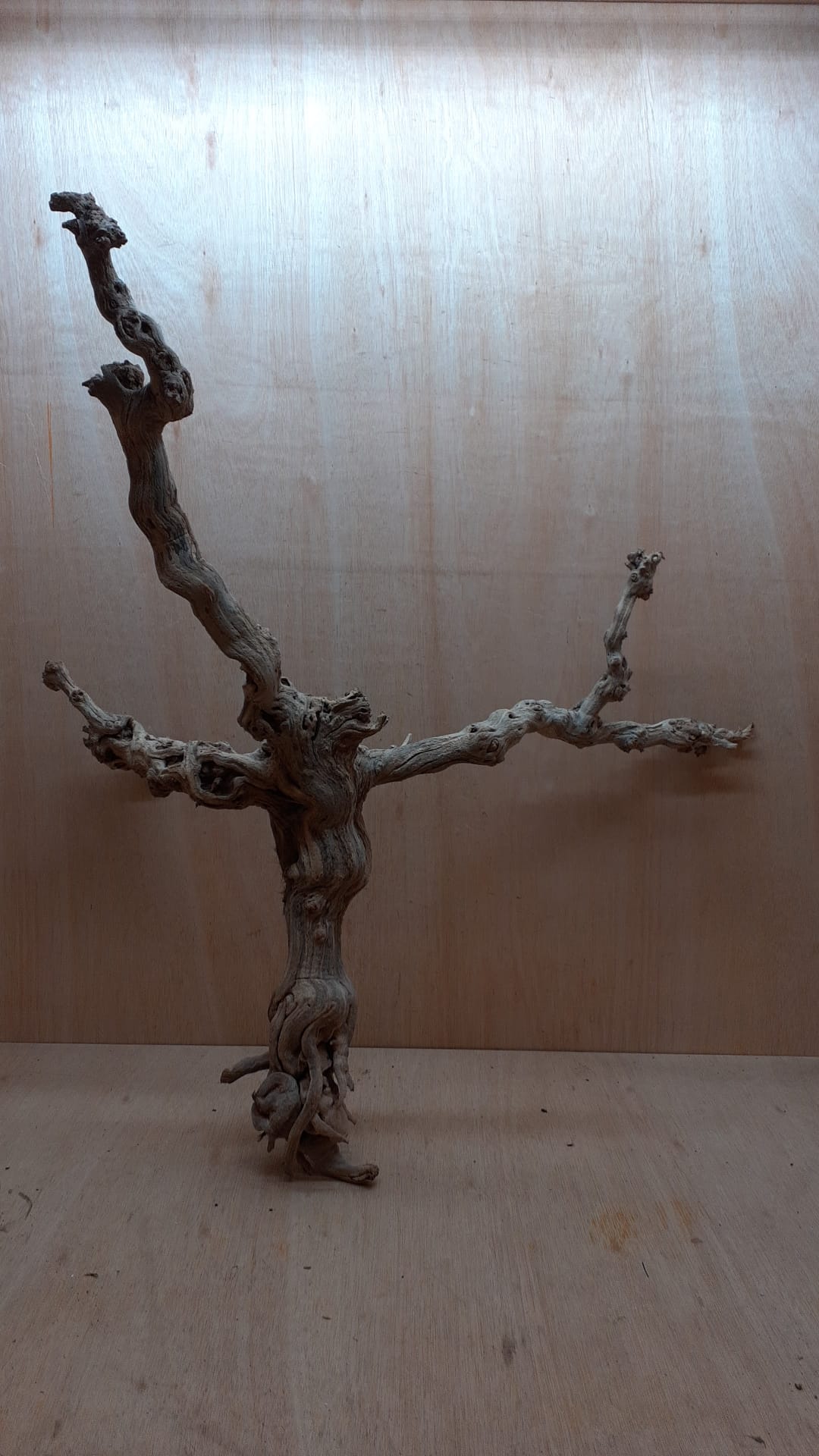 Sandblasted Grapevine - XL 12