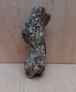 Small Cork Tube - Upto 40cm - 1