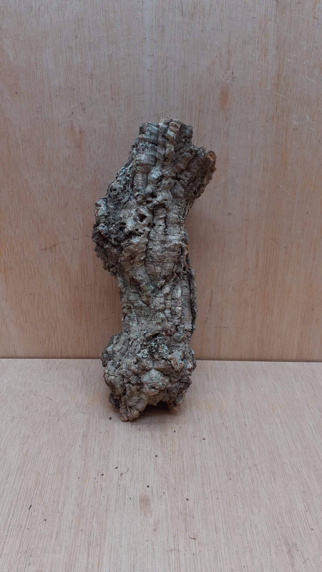 Small Cork Tube - Upto 40cm - 1