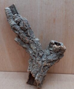 Small Cork Tube - Upto 40cm - 16