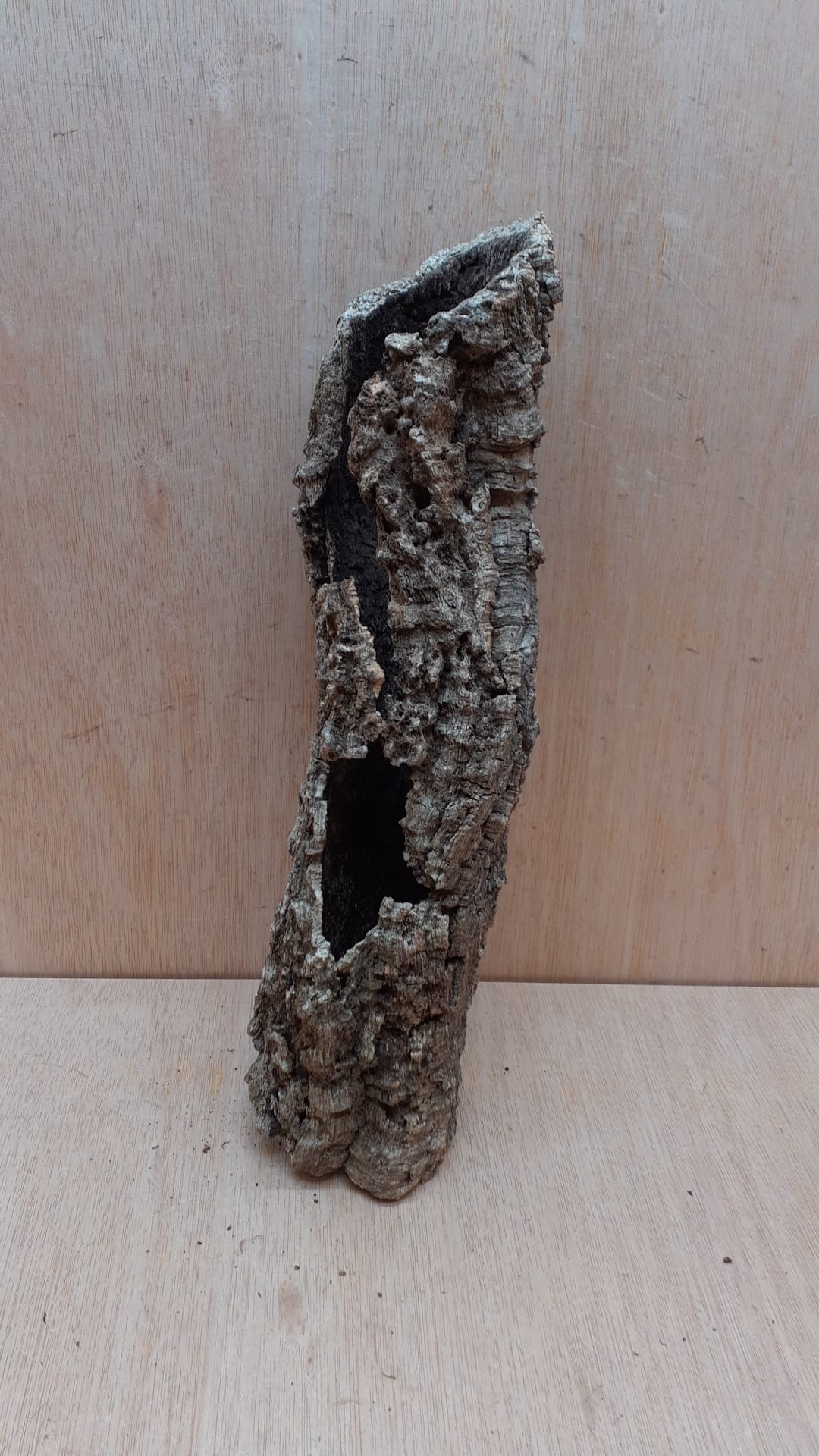 Small Cork Tube - Upto 40cm - 18