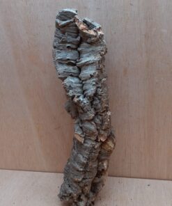 Small Cork Tube - 40-60cm - 9