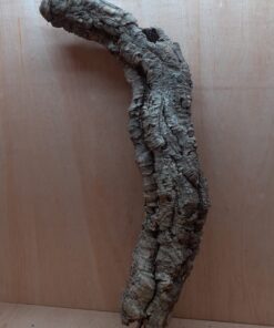 Small Cork Tube - 60-80cm - 9