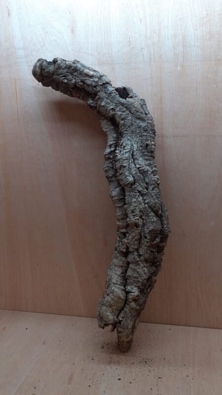 Small Cork Tube - 60-80cm - 9