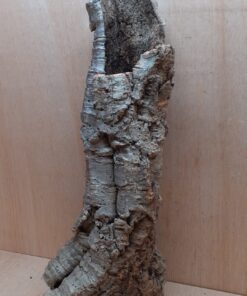 Small Cork Tube - 60-80cm - 10