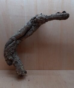 Small Cork Tube - 60-80cm - 13