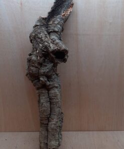 Small Cork Tube - 60-80cm - 15