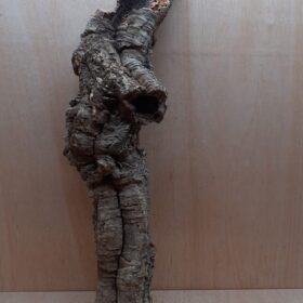 Small Cork Tube - 60-80cm - 15