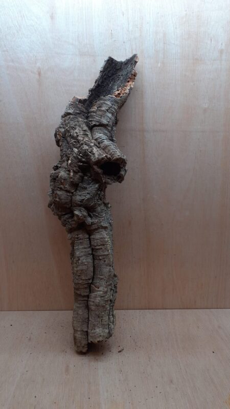 Small Cork Tube - 60-80cm - 15
