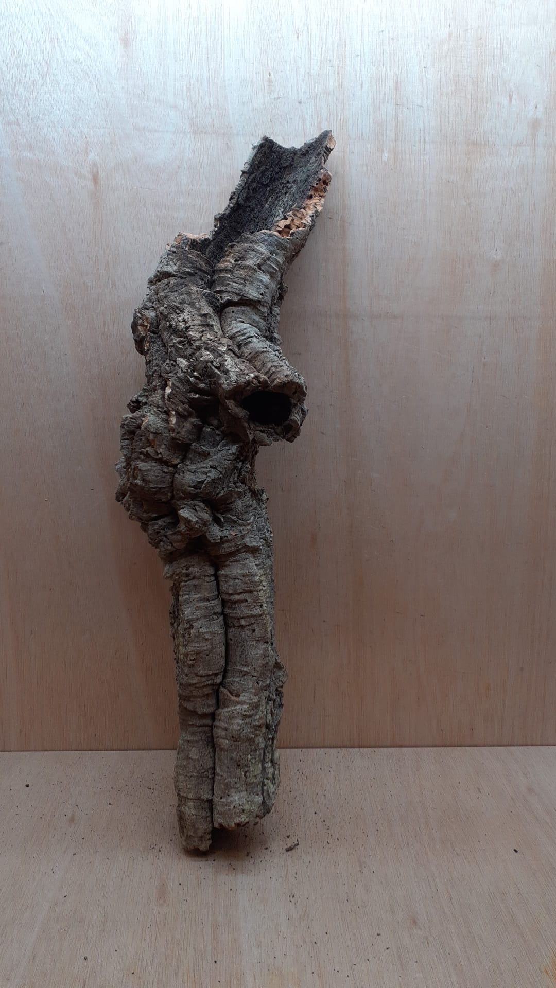 Small Cork Tube - 60-80cm - 15