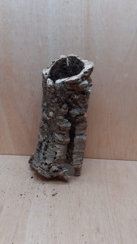 Medium Cork Tube - Upto 40cm - 5