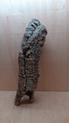 Medium Cork Tube - 60-80cm - 1