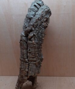 Medium Cork Tube - 60-80cm - 1