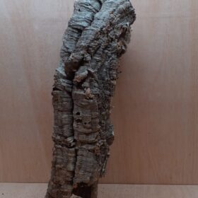 Medium Cork Tube - 60-80cm - 1