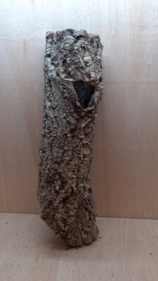 Medium Cork Tube - 60-80cm - 5
