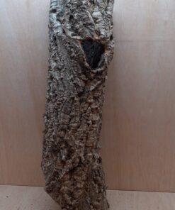 Medium Cork Tube - 60-80cm - 5