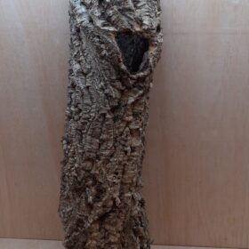 Medium Cork Tube - 60-80cm - 5