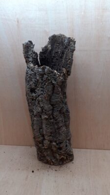 Medium Cork Tube - 60-80cm - 6