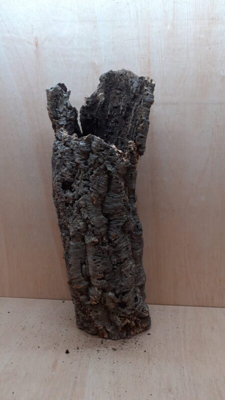 Medium Cork Tube - 60-80cm - 6