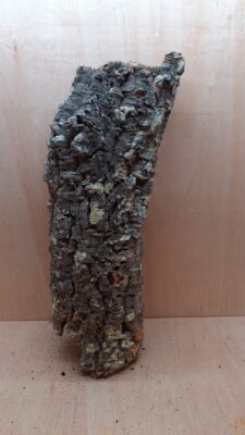 Medium Cork Tube - 60-80cm - 7