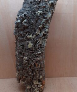 Medium Cork Tube - 60-80cm - 7