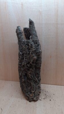 Medium Cork Tube - 60-80cm - 15