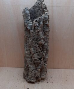 Medium Cork Tube - 60-80cm - 16