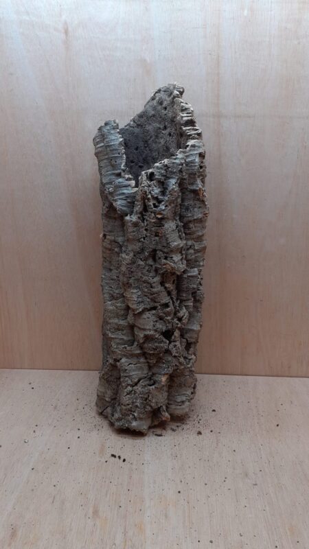 Medium Cork Tube - 60-80cm - 16