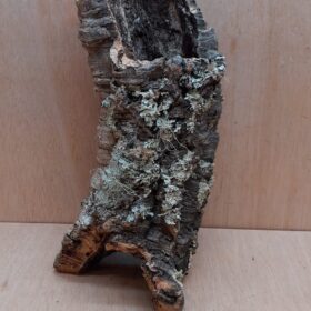 Medium Cork Tube - Upto 40cm - 6