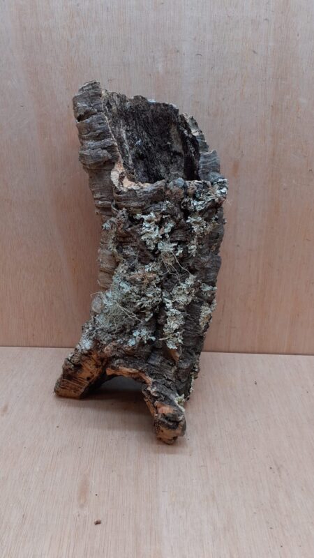 Medium Cork Tube - Upto 40cm - 6