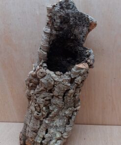 Medium Cork Tube - 40-60cm - 1