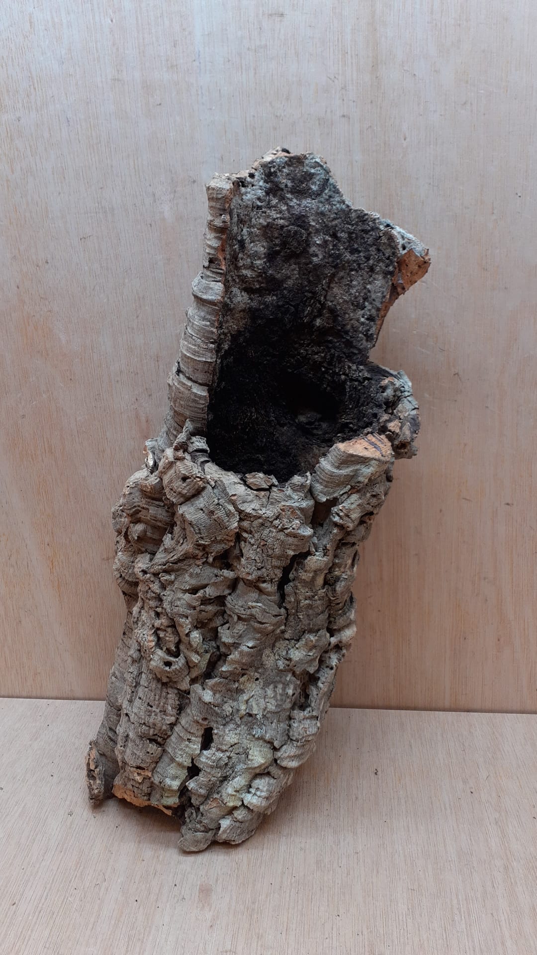 Medium Cork Tube - 40-60cm - 1