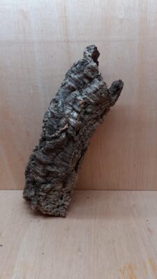 Medium Cork Tube - 40-60cm - 6