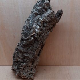 Medium Cork Tube - 40-60cm - 6